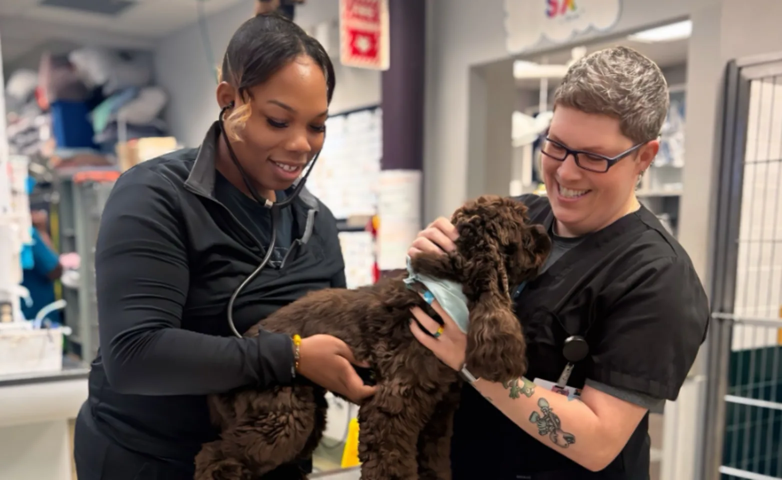 Jami & Taylor at Dogs and Cats Veterinary Referral & Emergency Jami & Taylor at Dogs and Cats Veterinary Referral & Emergency