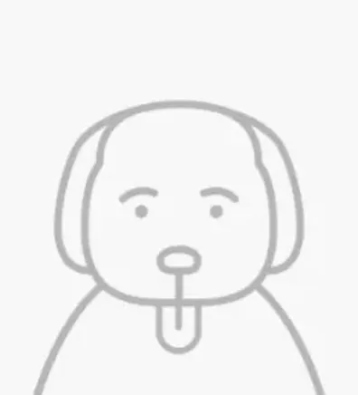 pencil puppy pencil puppy