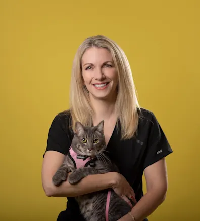 Stephanie Hughes Stephanie Hughes