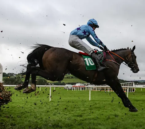 Race horses and jockeys jumping over a hurdle Race horses and jockeys jumping over a hurdle