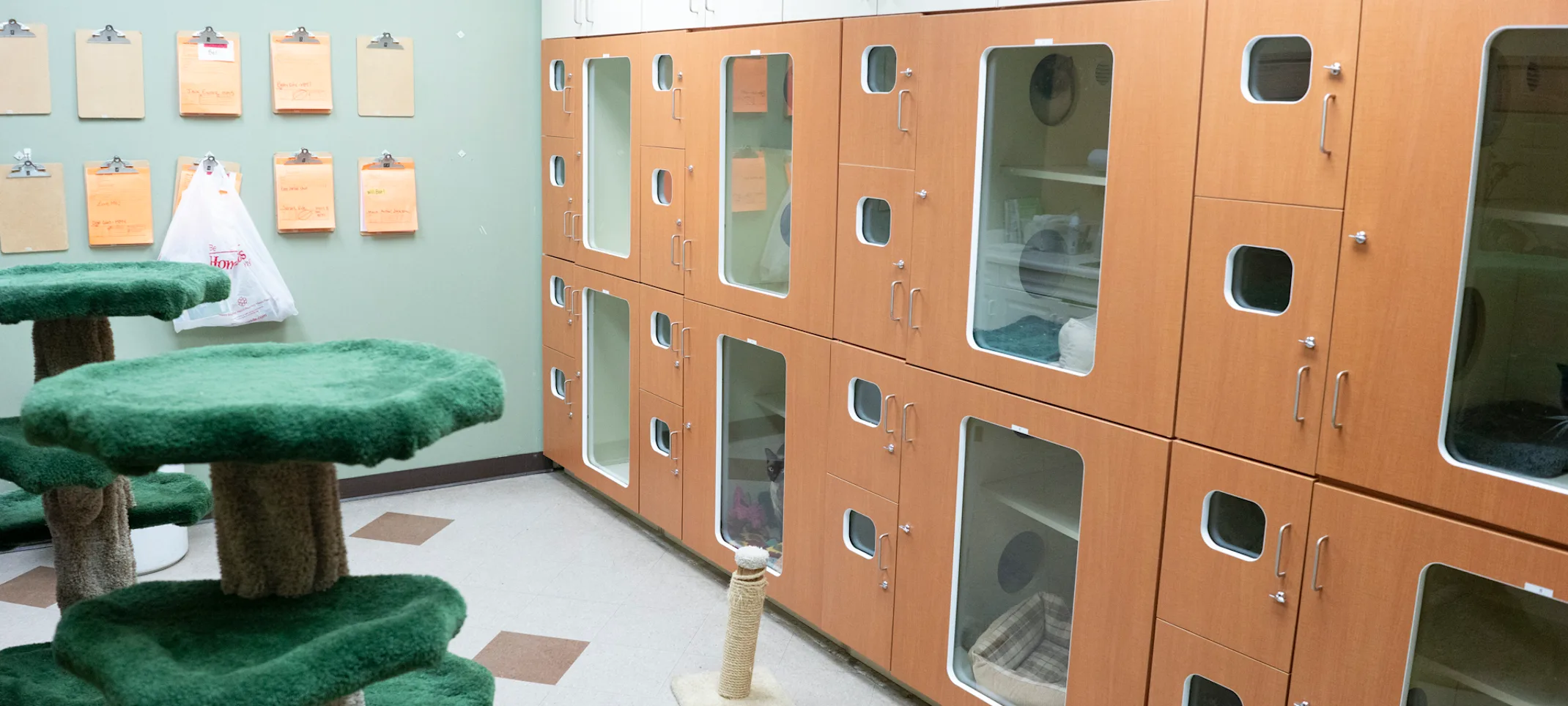 Cat Kennel Cat Kennel