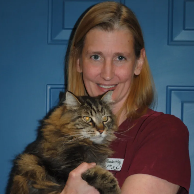 Dr. Lisa Vander Wilp Dr. Lisa Vander Wilp
