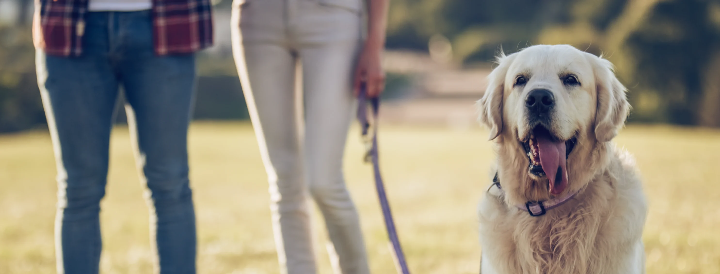 Dog with its owners 