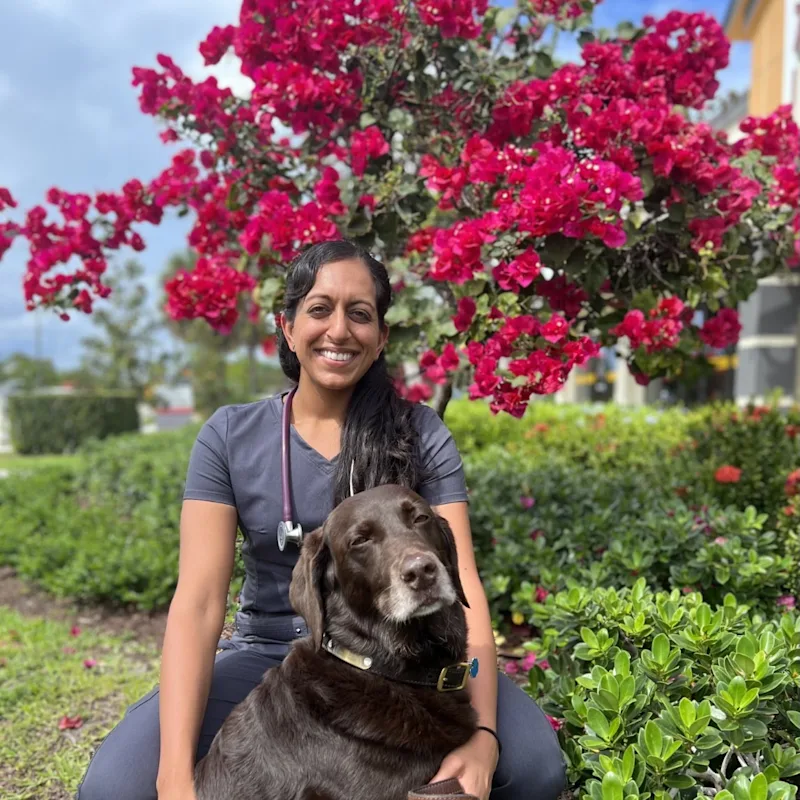 Alina Ali Alina Ali