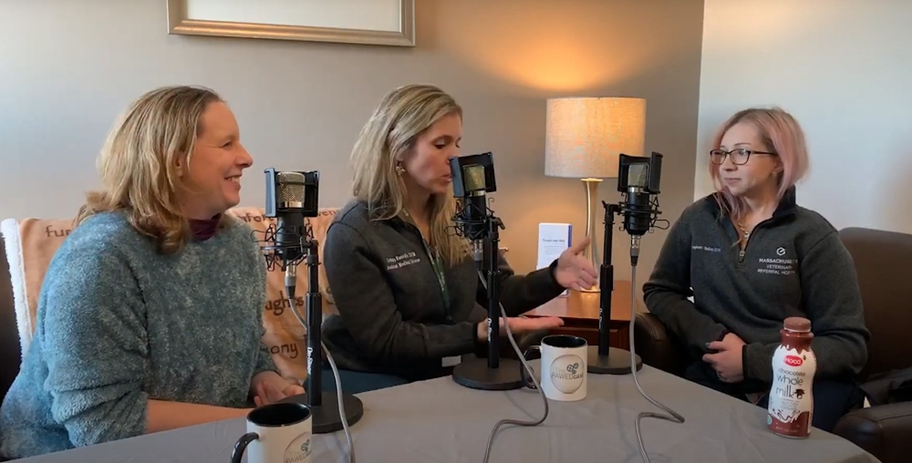 three girls sitting with microphones 