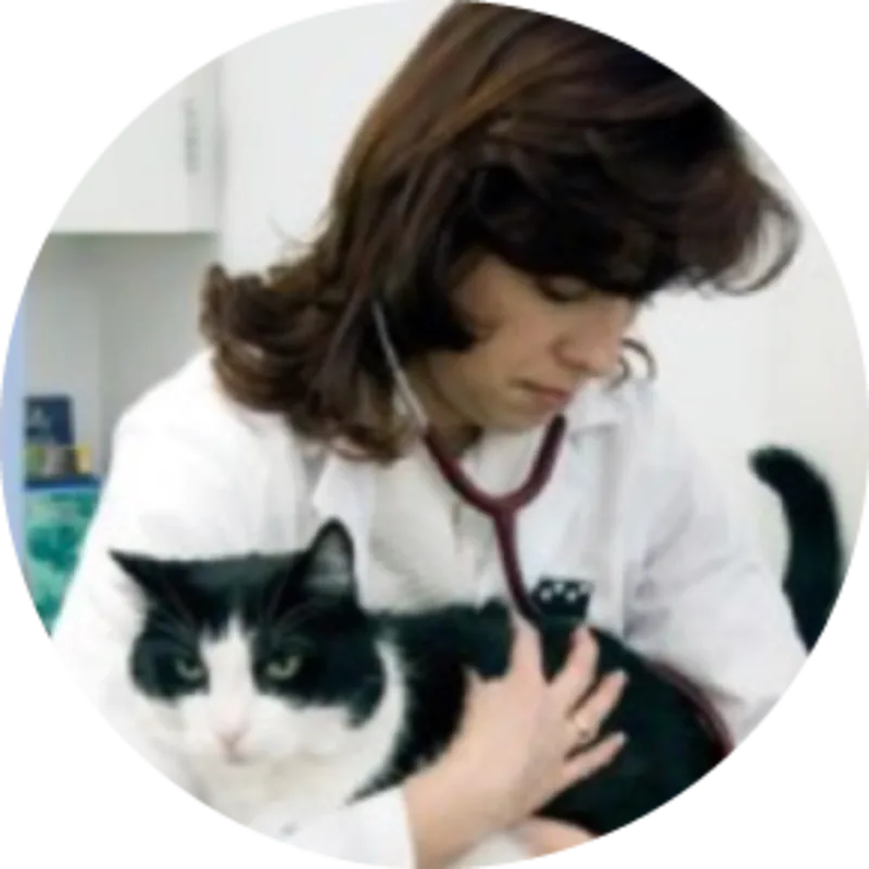 Dr. Ember Couture Dr. Ember Couture