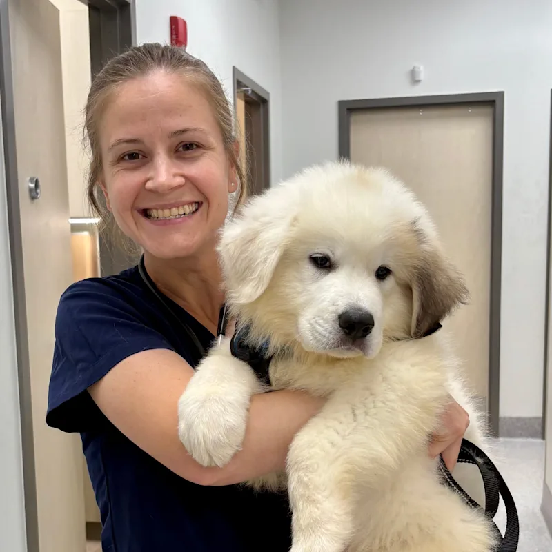 Dr. Annah Winsor, MDVM Dr. Annah Winsor, MDVM