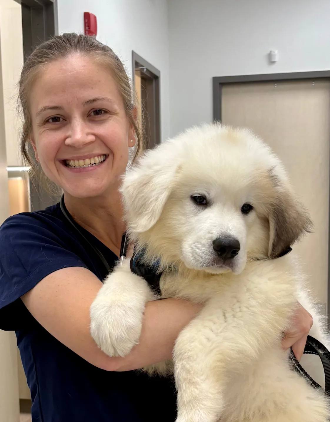 Dr. Annah Winsor, MDVM Dr. Annah Winsor, MDVM