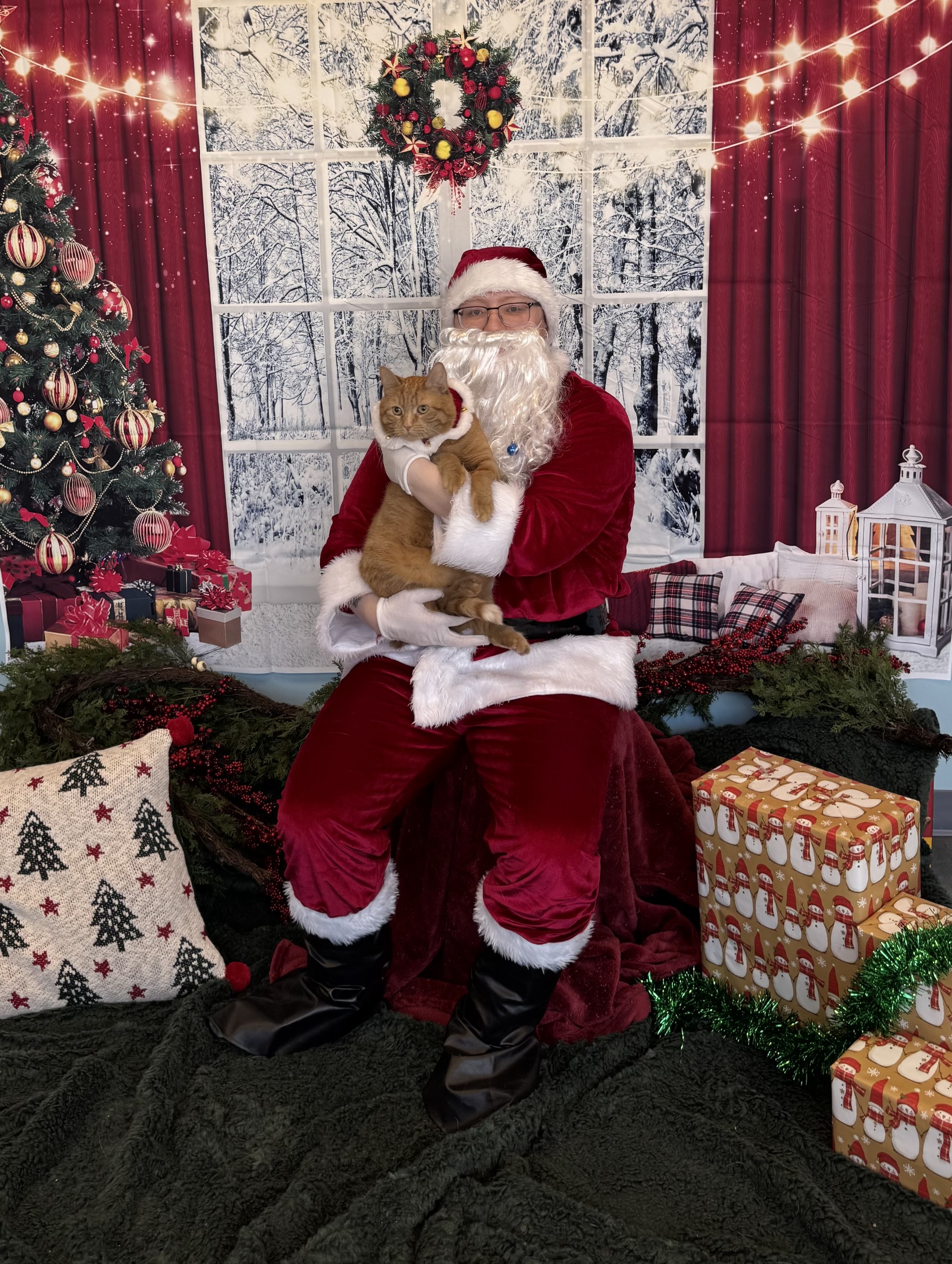 Orange Cat Picture with Santa
