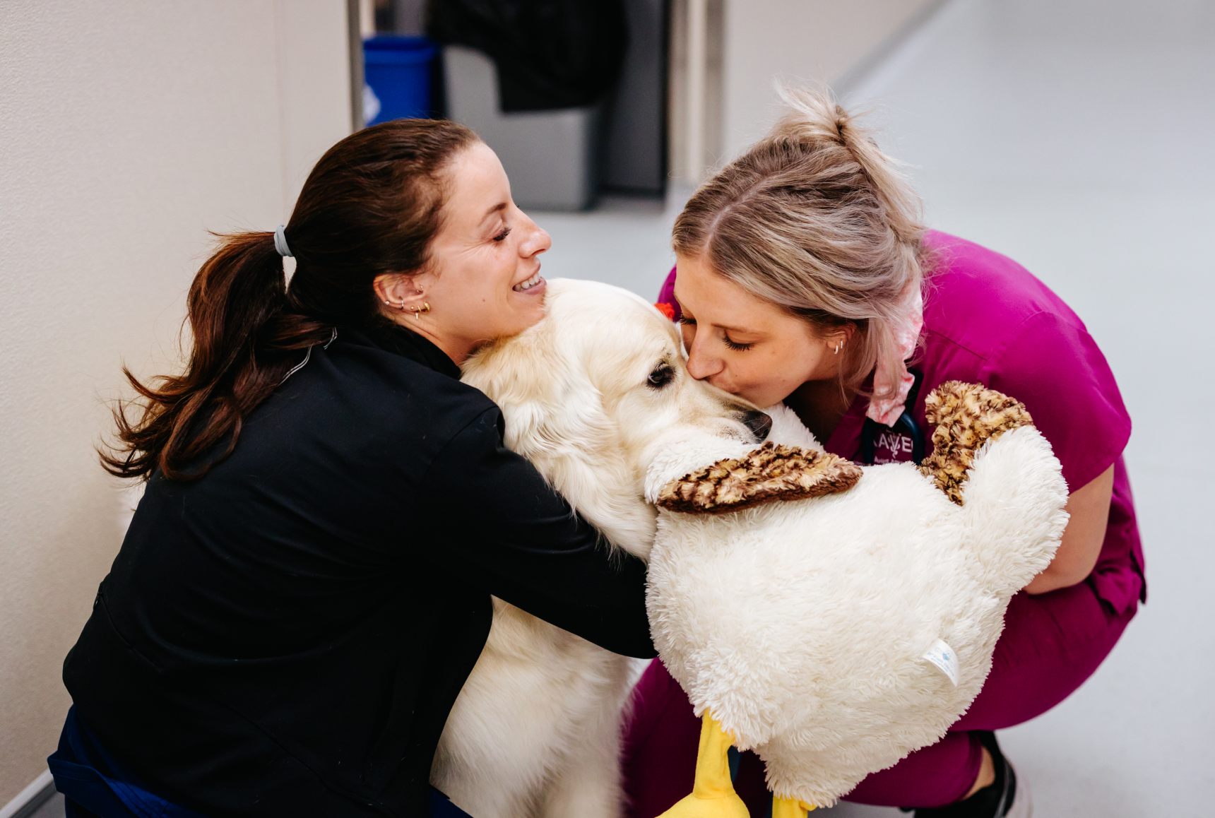 Two staff members hugging a golden retriever that has a stuffed animal in it's mouth.