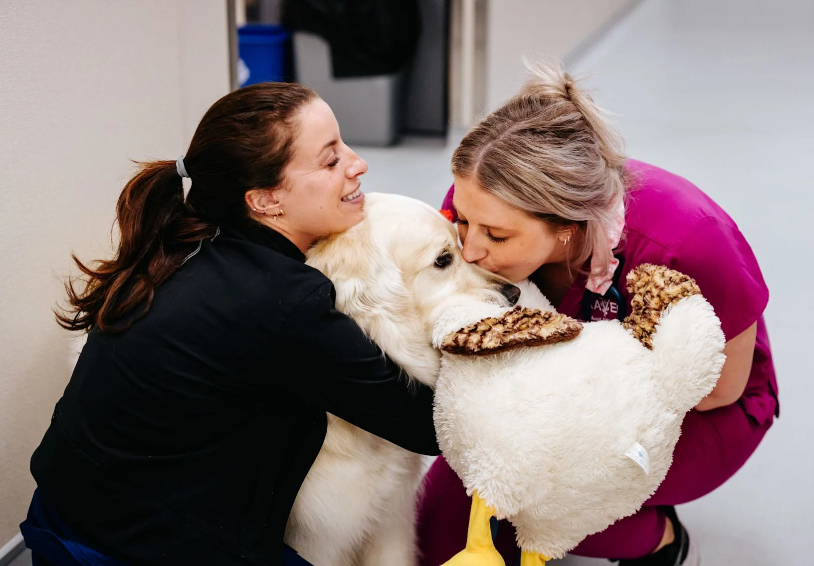 Two staff members hugging a golden retriever that has a stuffed animal in it's mouth. Two staff members hugging a golden retriever that has a stuffed animal in it's mouth.