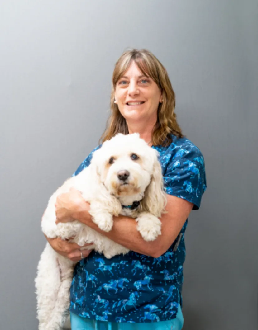 Michele Booth at Gunston & Dale City Animal Hospital