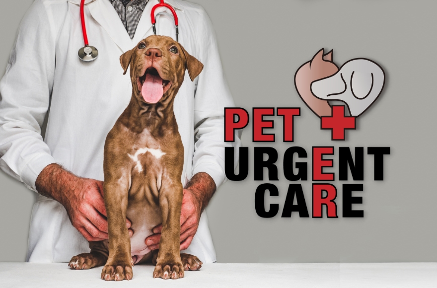 Urgent care store pets near me