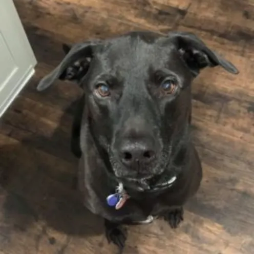 Bailee Musson Bailee Musson