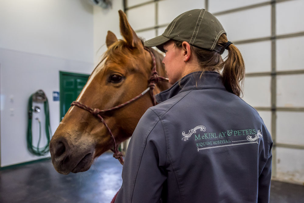 Staff Wearing Hospital Jacket Facing Horse