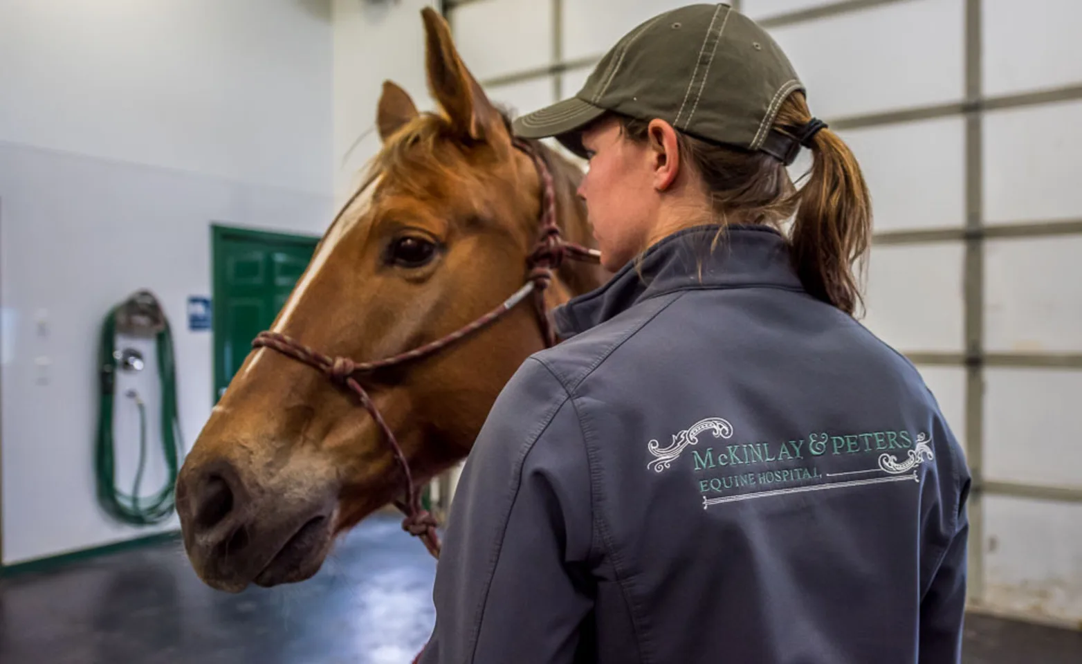 Staff Wearing Hospital Jacket Facing Horse Staff Wearing Hospital Jacket Facing Horse