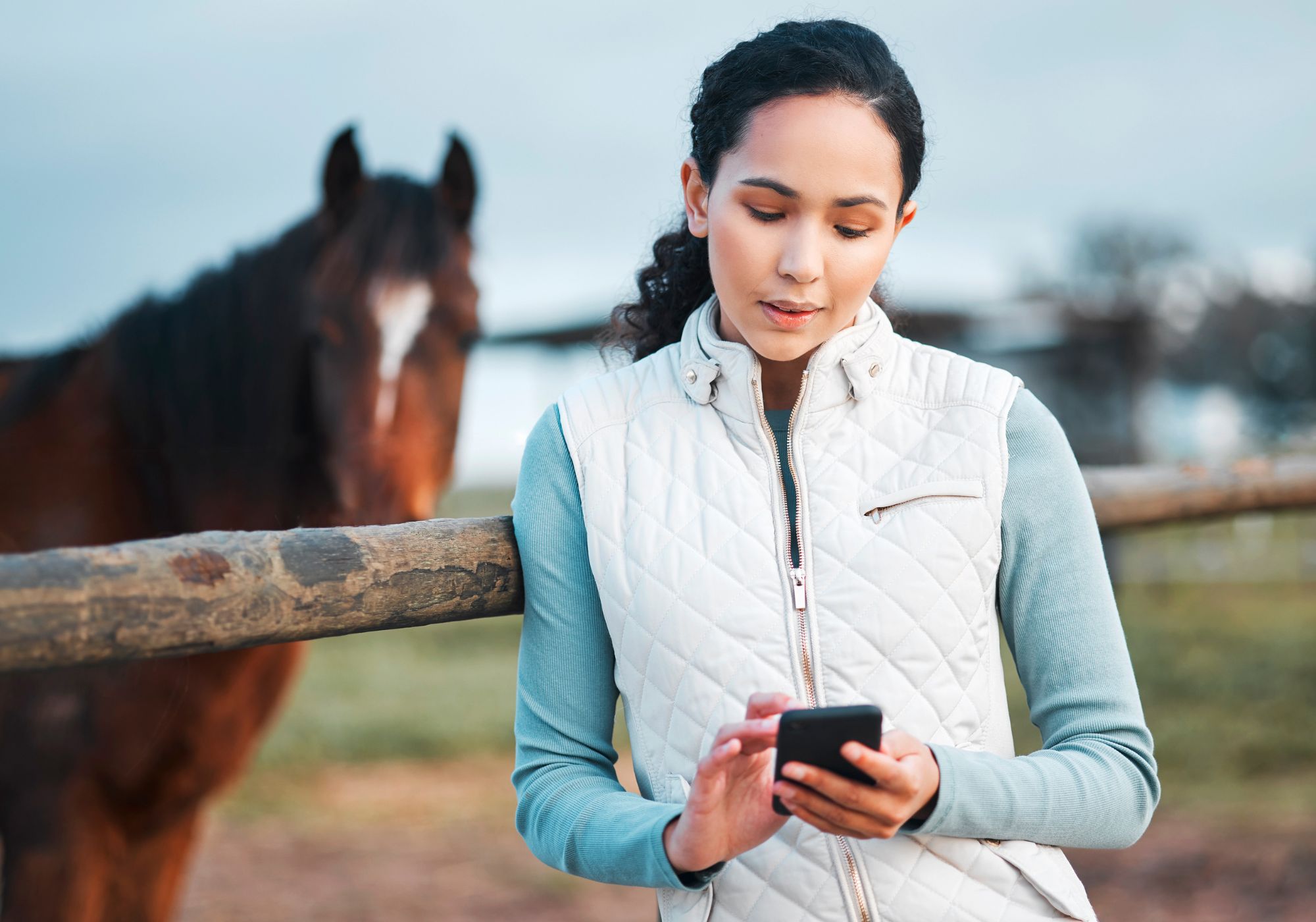 Equine Telemedicine Services