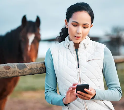 Equine Telemedicine Services Equine Telemedicine Services