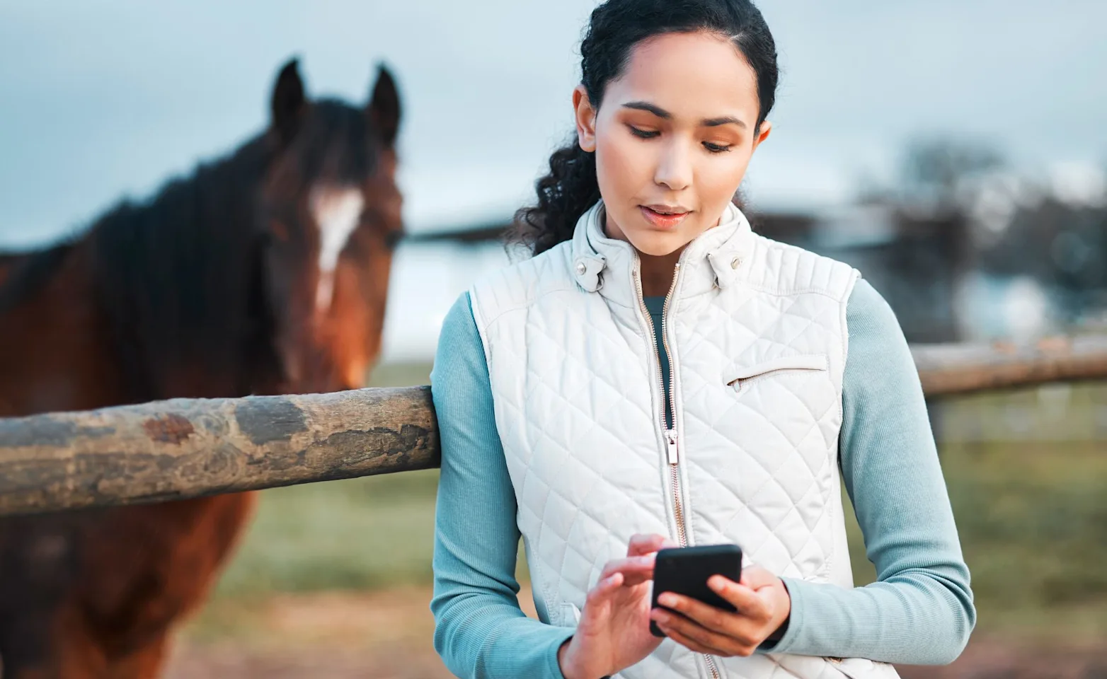 Equine Telemedicine Services Equine Telemedicine Services