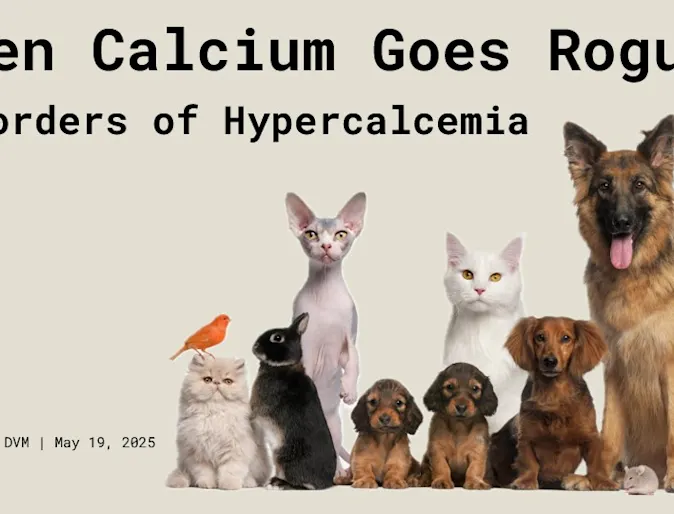 When Calcium Goes Rogue: Disorder of Hypercalcemia When Calcium Goes Rogue: Disorder of Hypercalcemia