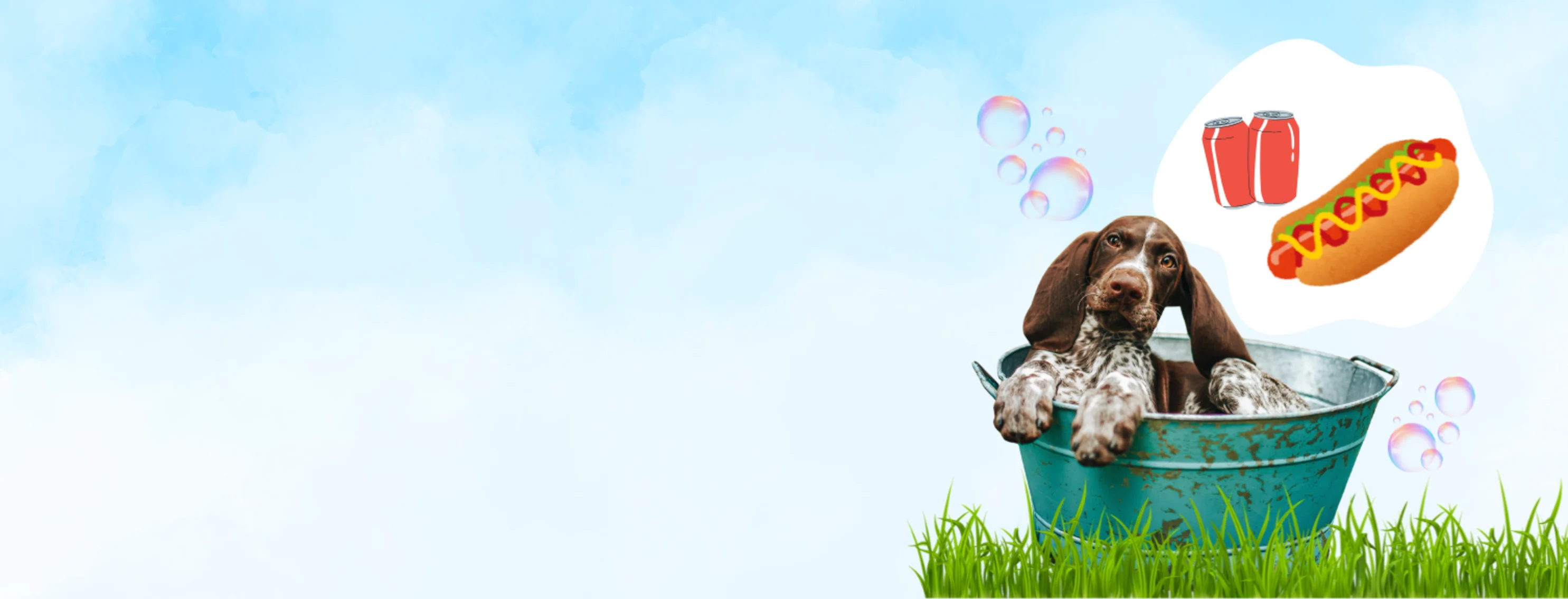 Burtch Animal Hospital - Dog Wash & BBQ 2026 Burtch Animal Hospital - Dog Wash & BBQ 2026