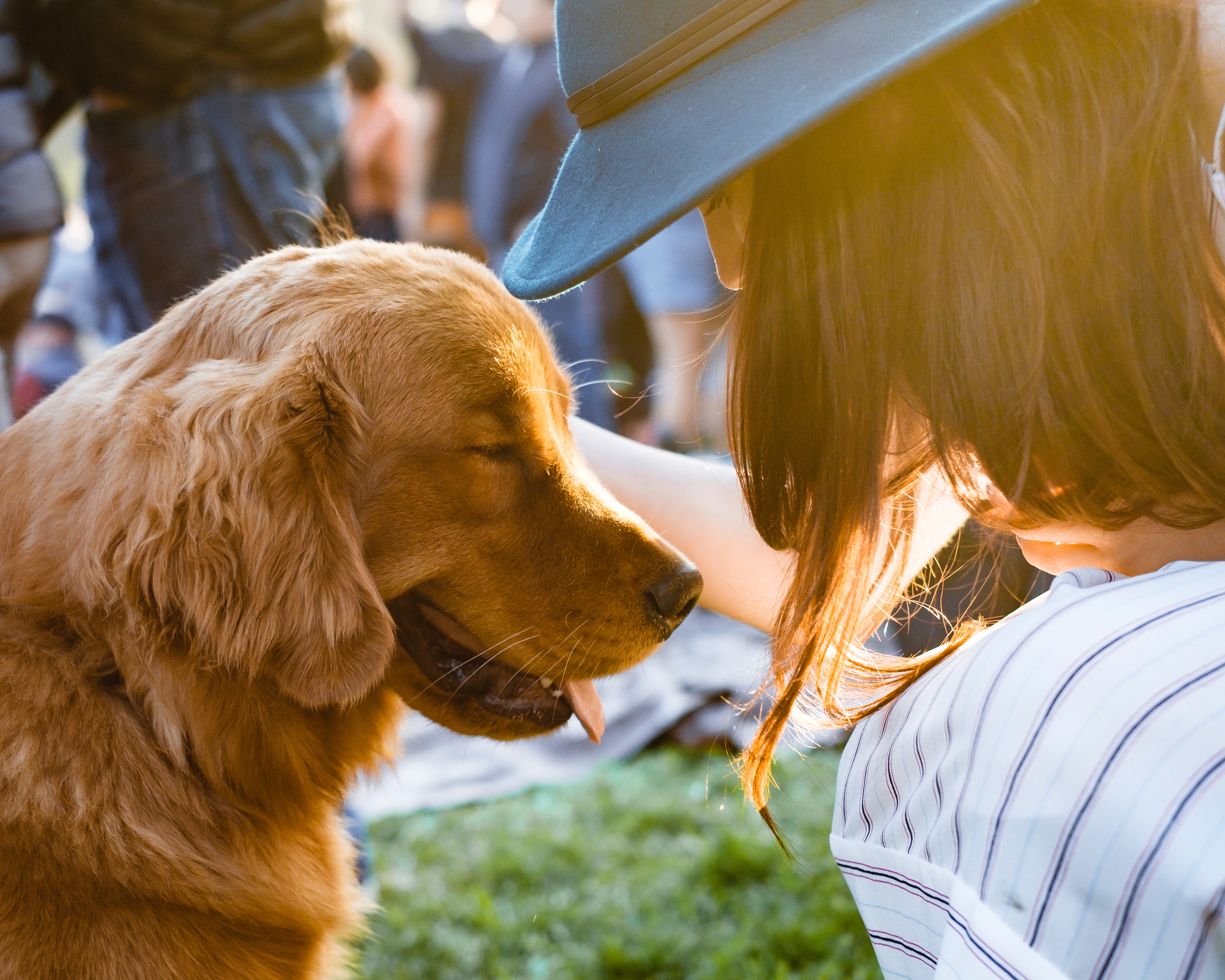 woman petting dog