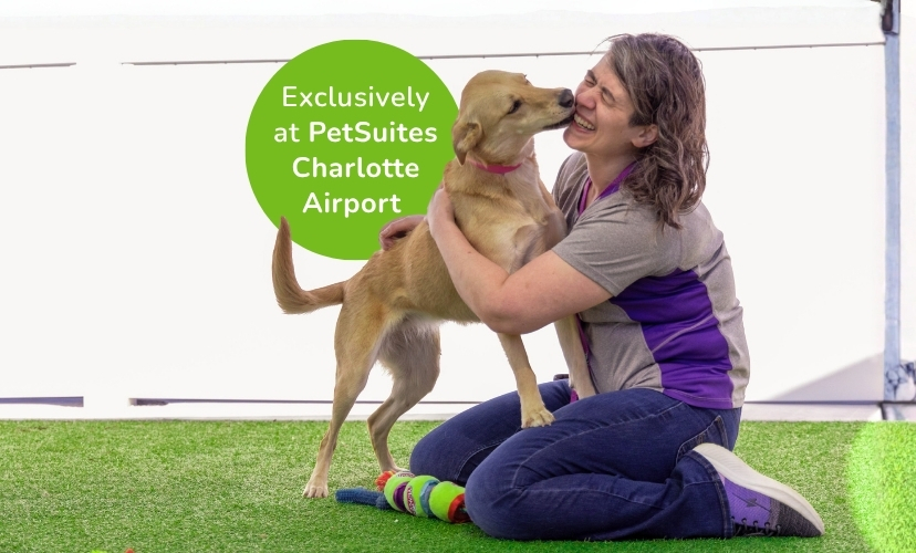 PetSuites Charlotte Airport