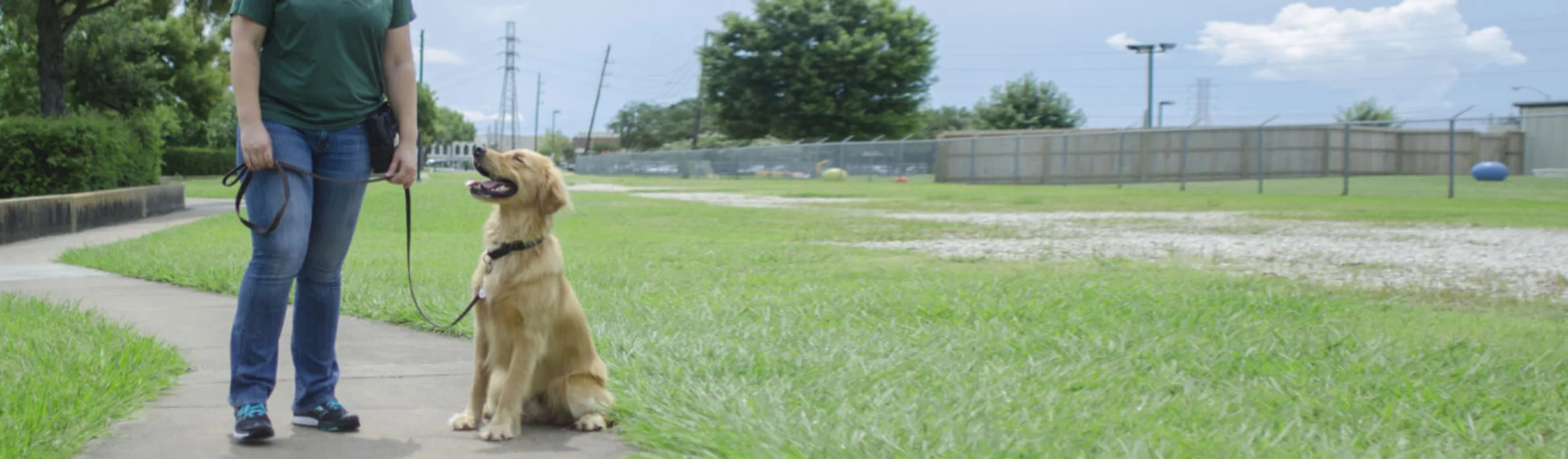 Dog with trainer in front of grassy play yard Dog with trainer in front of grassy play yard