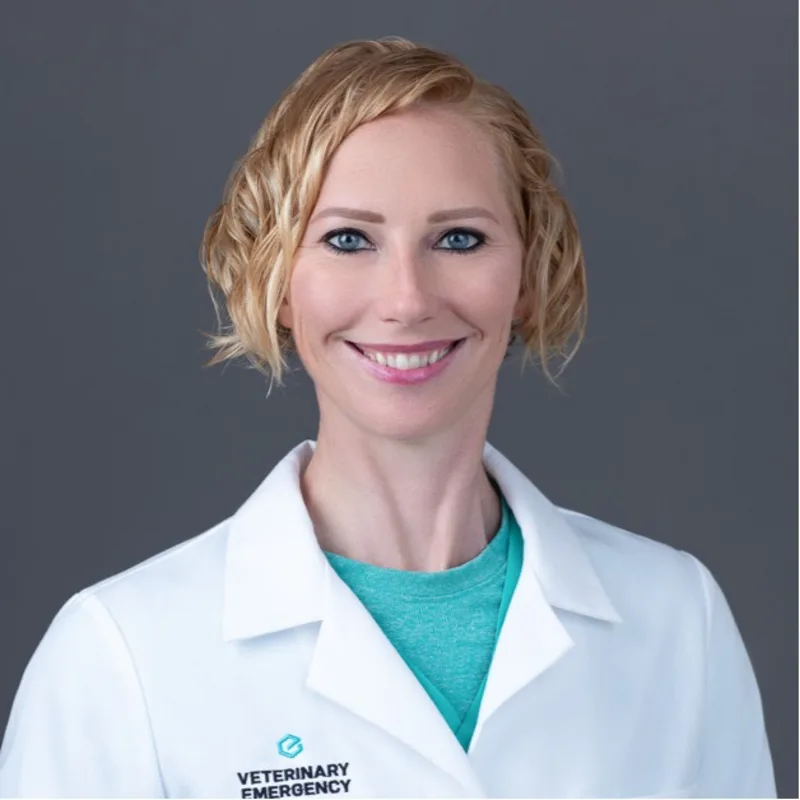 Kathryn A Pitt Kathryn A Pitt