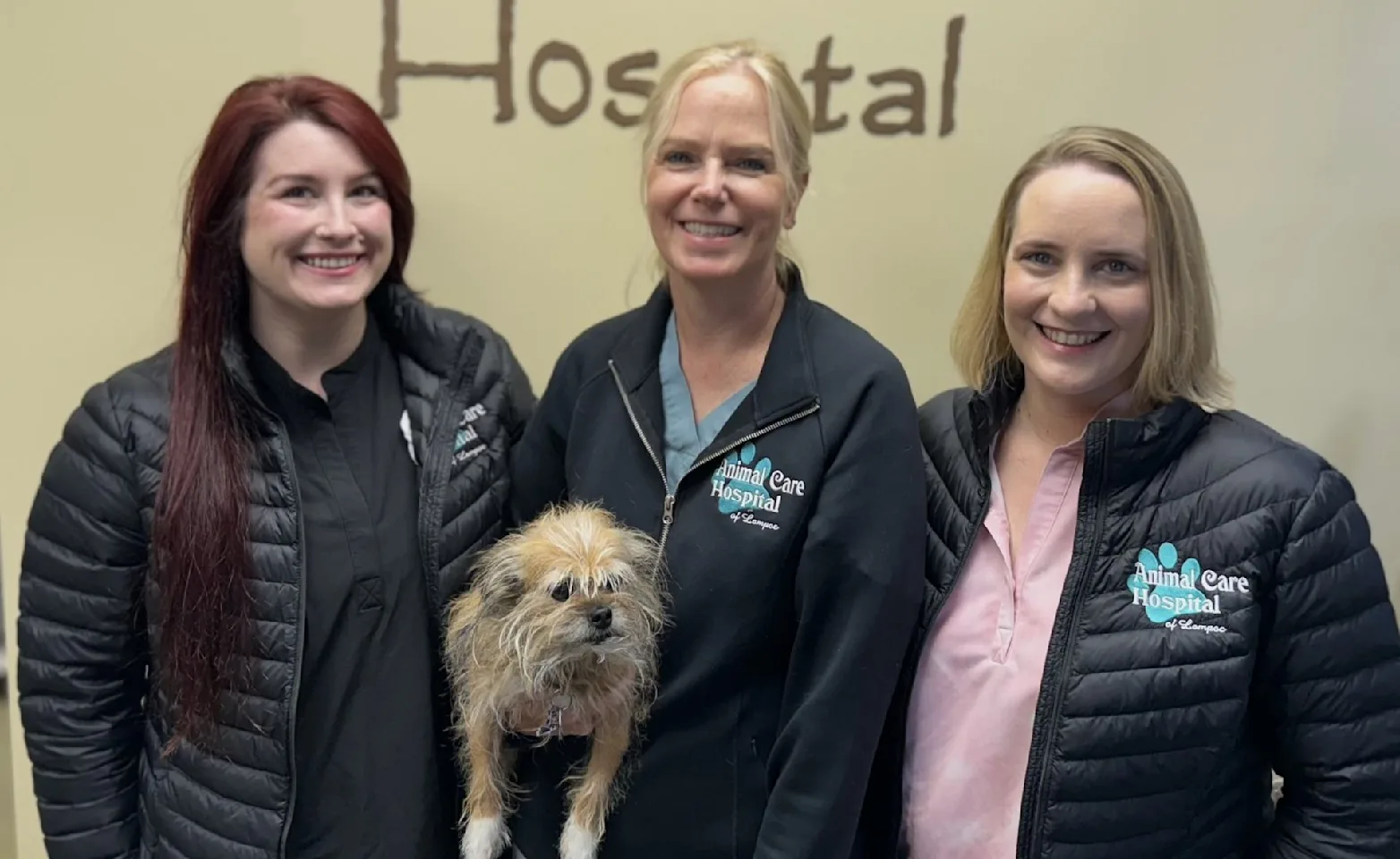 Veterinarians standing in front of a wall Veterinarians standing in front of a wall