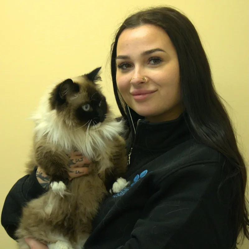 Chloe Hanlon Chloe Hanlon