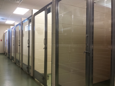 Animal Medical and Surgical Hospital of Frisco Boarding Area that are clean with glass doors. 