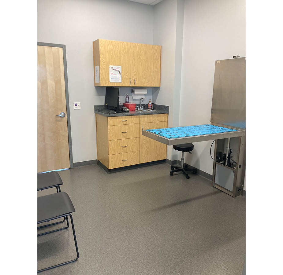 Exam Room at Value Vet