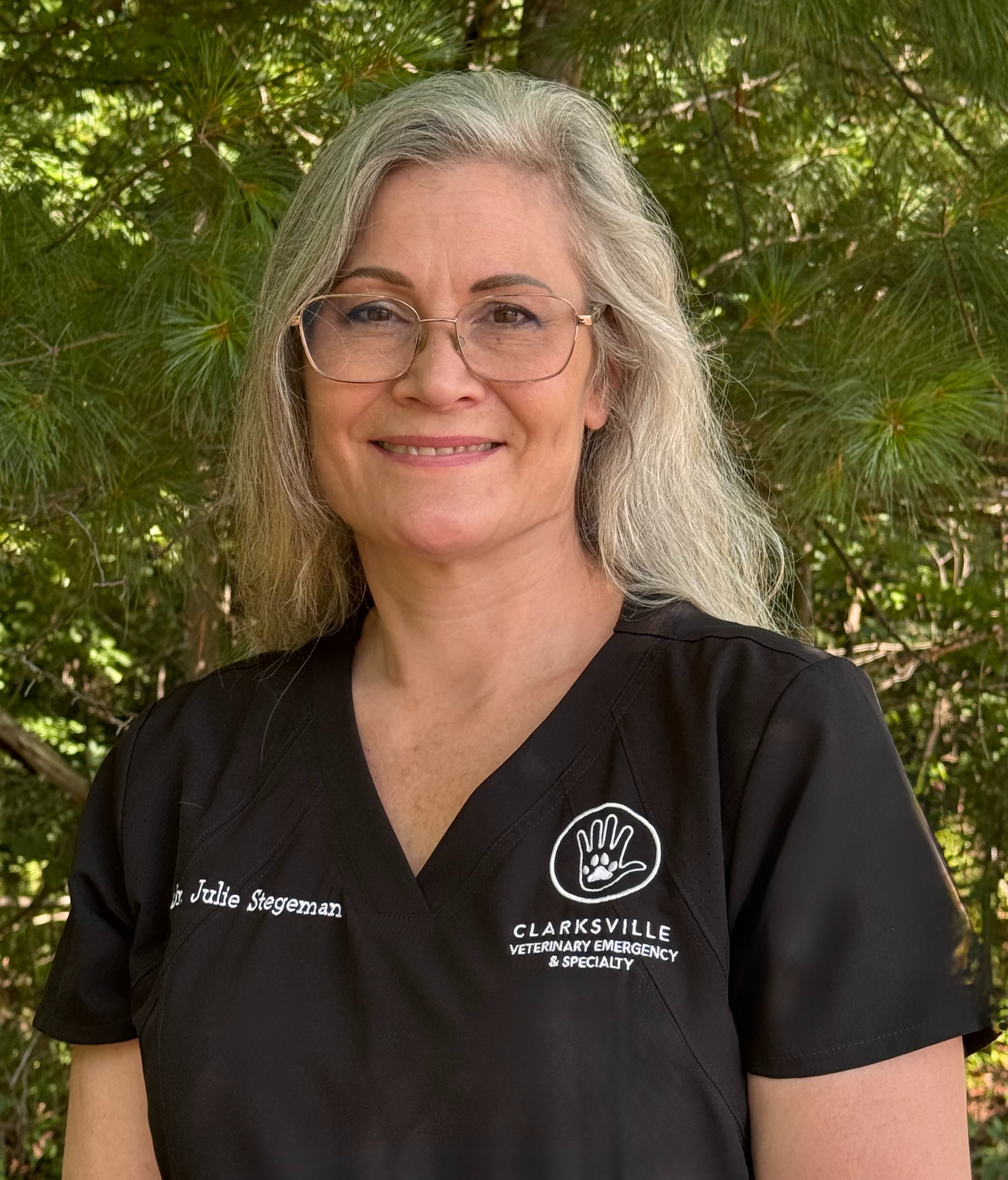 Julie Stegeman