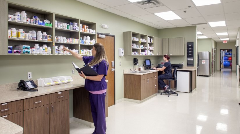 Veterinary staff member sorting through a cabinet filled with various medications