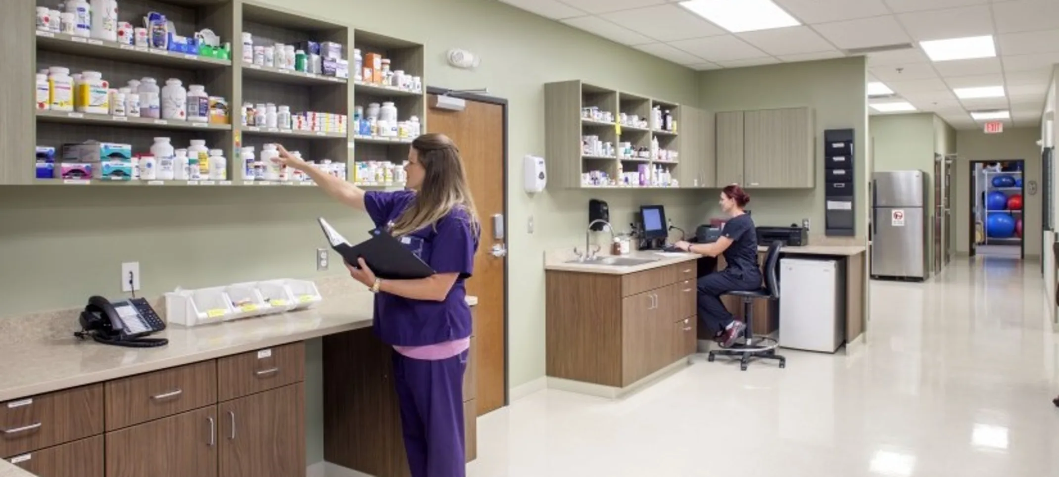 Veterinary staff member sorting through a cabinet filled with various medications Veterinary staff member sorting through a cabinet filled with various medications