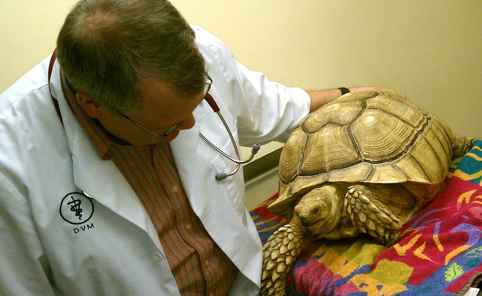Man With Tortoise Man With Tortoise