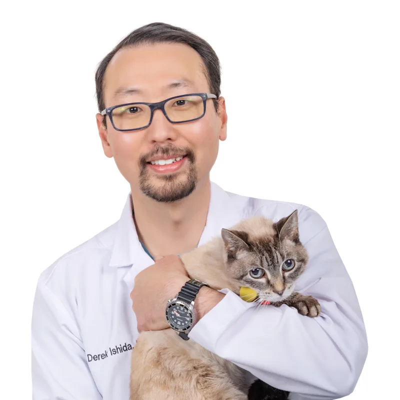 Dr. Derek Ishida at Above & Beyond Pet Care Hospital Dr. Derek Ishida at Above & Beyond Pet Care Hospital