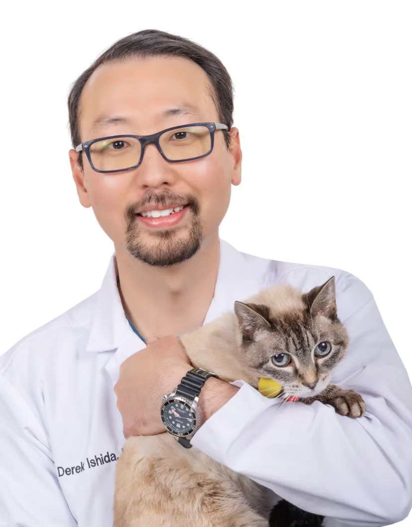 Dr. Derek Ishida at Above & Beyond Pet Care Hospital