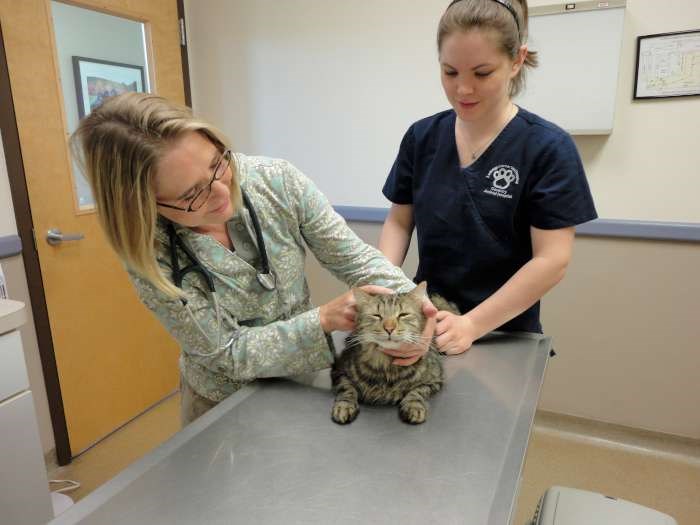 The exam room at Ludwigs Corner Hospital