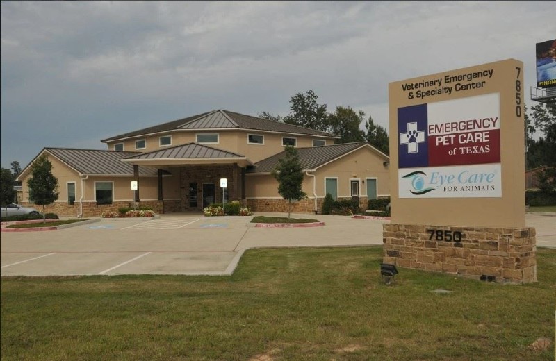 Our building located on FM 1488 less than one mile west of FM 2978, right next to the HEB,