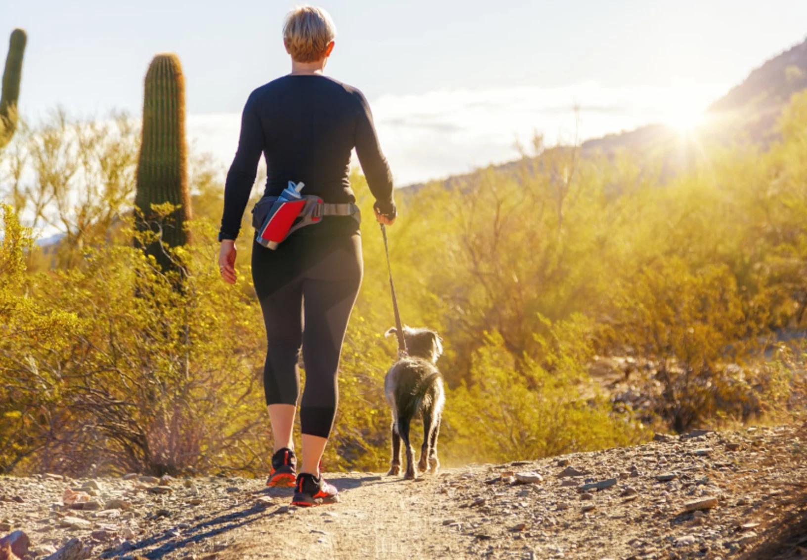 Woman hiking with a dog in the desert in Arizona Woman hiking with a dog in the desert in Arizona
