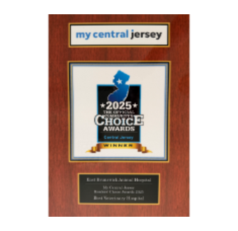 2025 Community's Choice Awards Plaque 2025 Community's Choice Awards Plaque