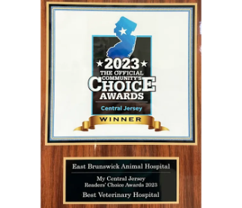 2023 Community's Choice Awards Plaque