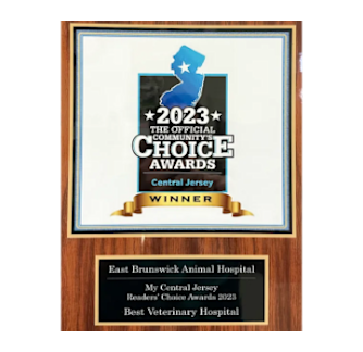 2023 Community's Choice Awards Plaque 2023 Community's Choice Awards Plaque