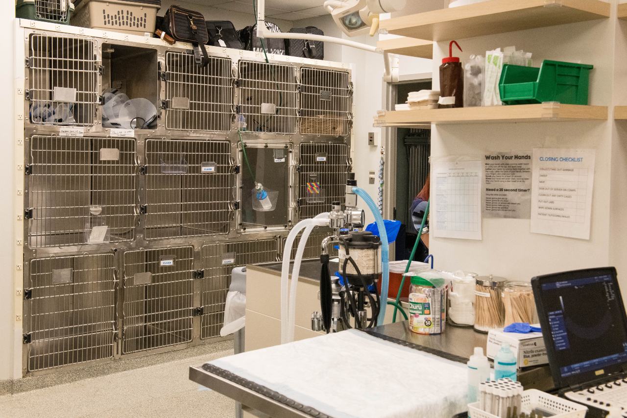 Treatment room upstairs