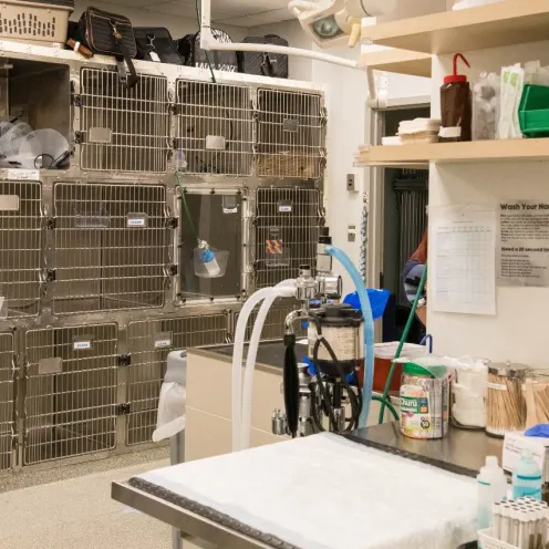 Treatment room upstairs Treatment room upstairs