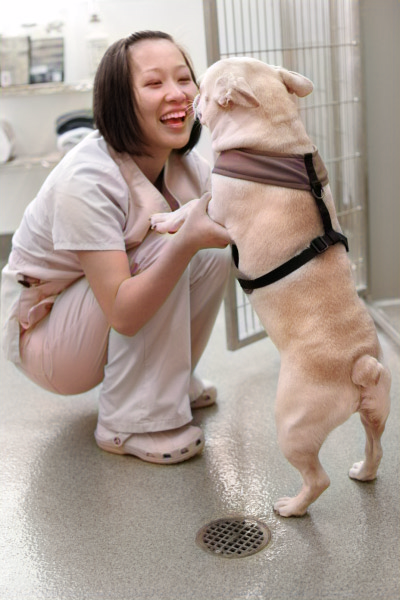  Vet playing with a standing dog
