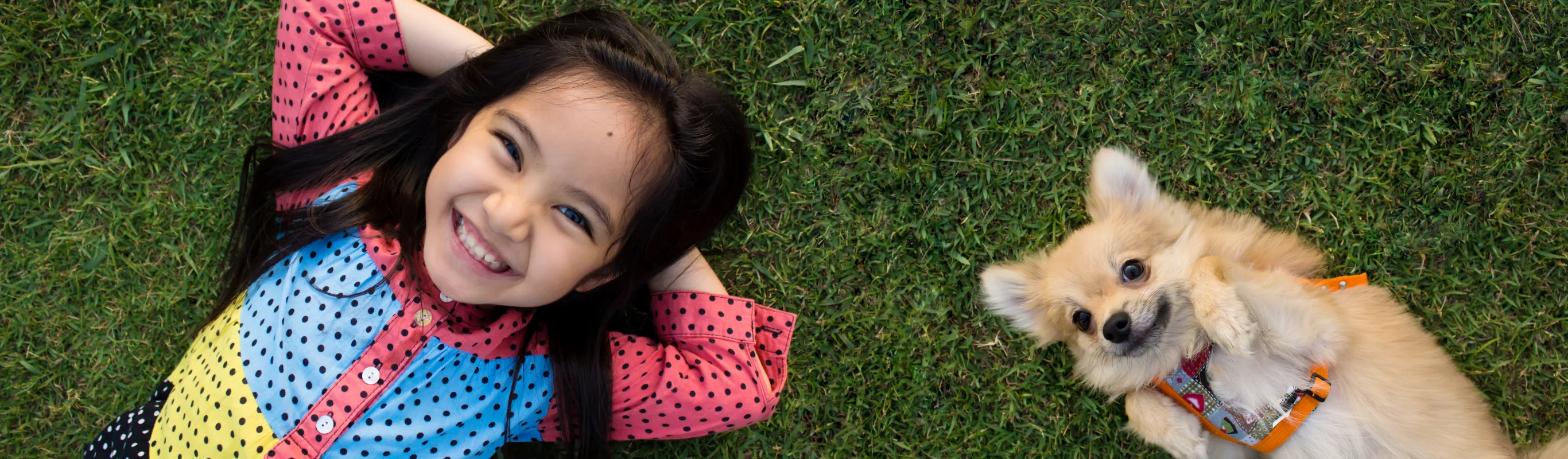 little girl laying on a lawn with a dog