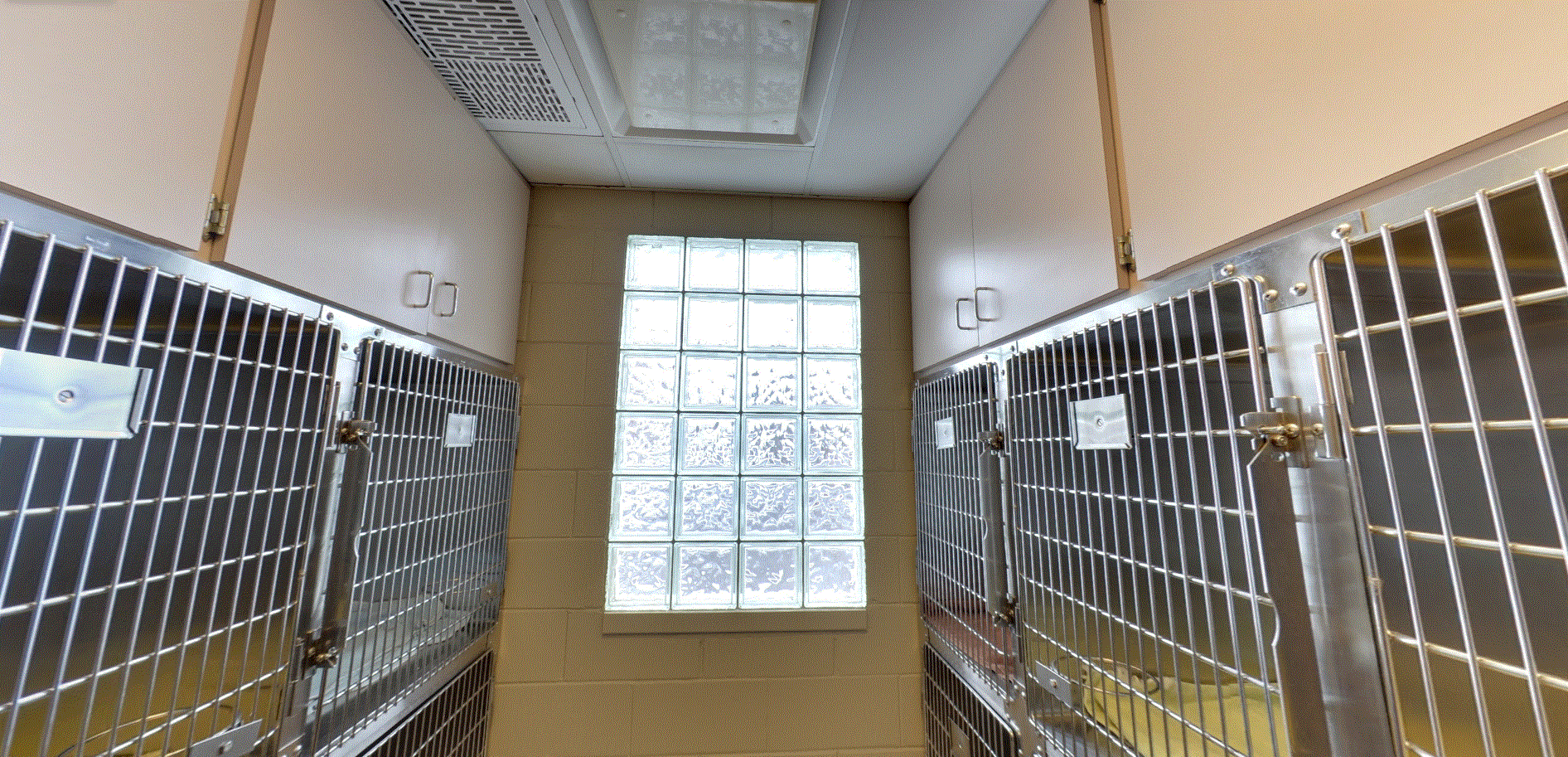 Peotone Animal Hospital Medium Size Kennels that are located in both sides of the wall